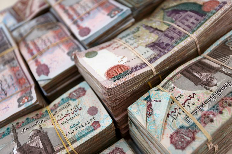 صور بطاقات أولياء الأمور تحولت إلى 839 عقد تمويل.. من يحاسب شركة القروض؟